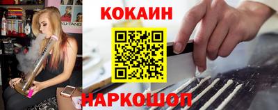 мет Кингисепп