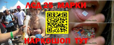мет Кингисепп