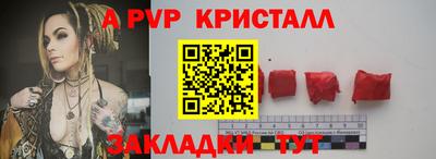 мет Кингисепп