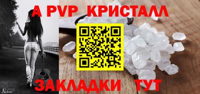 мет Кингисепп