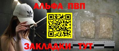 мет Кингисепп