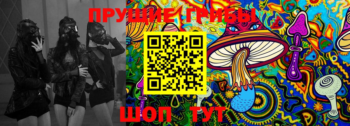 Выборг  Галлюциногенные грибы Cubensis  Вход с VPN 